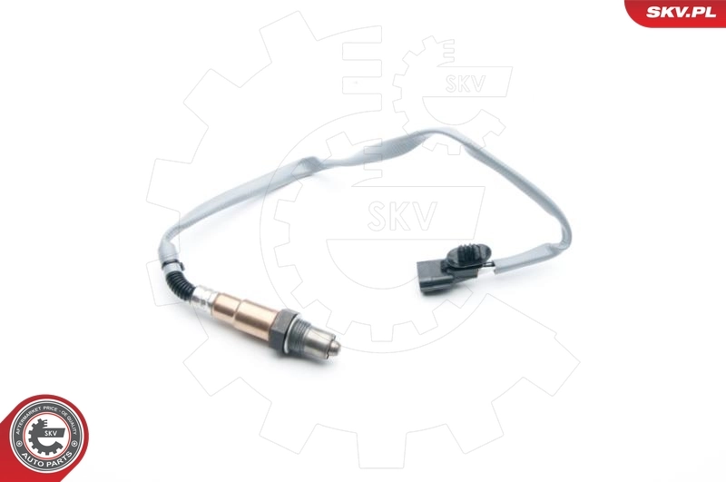 Oxygen Sensor